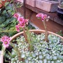 화양읍사무소 이미지