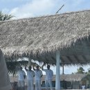 오션컴퍼스 | 모히또에서 몰디브 한잔 3 - 밀라이두 워터빌라 3박 후기 2️⃣