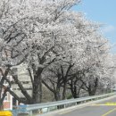 삼문강변로 이미지