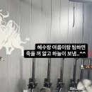 트리니티붐 이미지