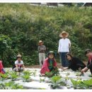 흙처럼 힐링스테이 이미지