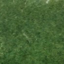 이은미 작가 개인전 이미지