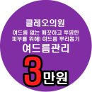 클레오의원 이미지