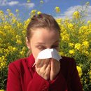 알레르기 이미지
