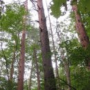 신통목장 이미지