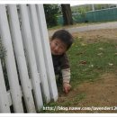 준석농장 이미지