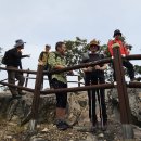용산정 | 10월 7일 토요안내산행후기 / 구봉산 넘어 노루벌까지