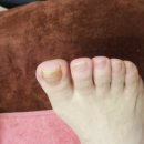 마사지테라피&발마사지 | 방이동 지압 마사지 경락 발마사지 박선생테라피 후기