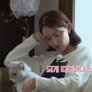 고양이민박 이미지