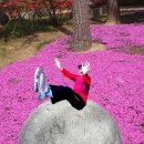 사임당공원 이미지