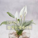 양재2동주민센터 이미지