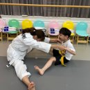 숨 익스트림 태권도장 이미지