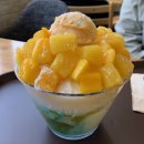 달다풍암점 | 설빙 신메뉴 <아임파인망고 설빙> 솔직 후기