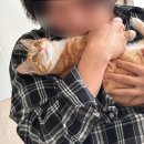 합강캠핑장(프리캠핑존) 이미지