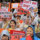 한독농장 SBS