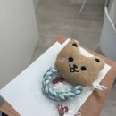 4423 | 대구 동성로 소품샵 '뽀뚜빠뚜' - 편지 한 장으로 힐링하기