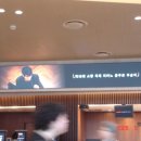5월: 환경 안녕 안경