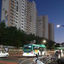 수원-1747 이미지