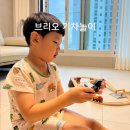 레일로드(rail road) | 브리오 기차놀이 장난감 세트 사용 후기 놀이효과 창의력 향상