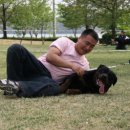 스타애견 이미지