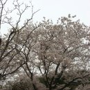 가마못공원 이미지