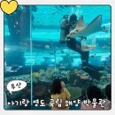 가볼만한 곳, 영도 국립해양박물관 후기, 어린이...예약방법 (어린이박물관·수족관·도서관·주차정보)