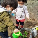 오창엘리트어린이집 이미지