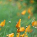 무심재민박 이미지