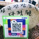 황금관광농원 네이버블로그