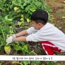 국현농장 이미지