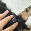 다산마리동물병원 이미지