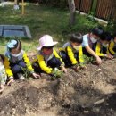 약사가온유치원 이미지