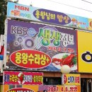 맛집이모네