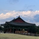 오늘의 경주 이미지