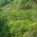 봉화공인중개사사무소 이미지