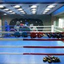 YS복싱클럽 이미지