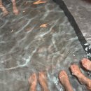 카페독채 | [안동 여행] 한옥 독채숙소 후기/안동 맛집&amp;카페 추천