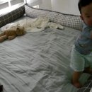 시우목장 이미지