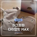 파파오가닉 | [육아용품리뷰] 허그파파 다이얼핏 MAX 후기 : 맘스홀릭 베이비페어 가격 및 찐 사용 장단점