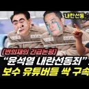 내란 선동죄로 극우 유튜버들 싹 구속위기? 이미지