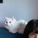 손한나의원 이미지