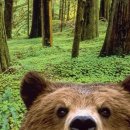 최고야빨래방 이미지