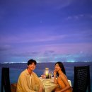 미미여행사 이미지