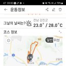 강진 보은산 - 영랑생가 &amp; 수국길 축제장 이미지