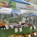 도담양봉원 이미지