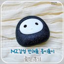 MZ감성 반려돌 몽이돌이 솔직 후기