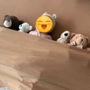 홈버프 | 대구 50일 홈스냅촬영 디유스냅 후기