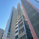 영수상사 | 서울 문신제거 문신지우는영수쌤 타투 제거 시술 3회차 내돈내산 후기