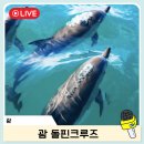 라니멍 | 괌 돌핀크루즈 돌핀투어 예약 스노쿨링 준비물 후기 괌자유여행