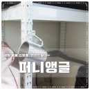 퍼니앵글